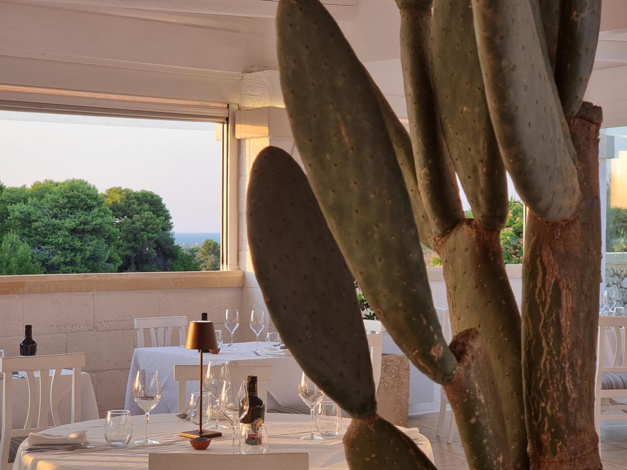 Masseria Bandino & Spa Οτράντο Εξωτερικό φωτογραφία